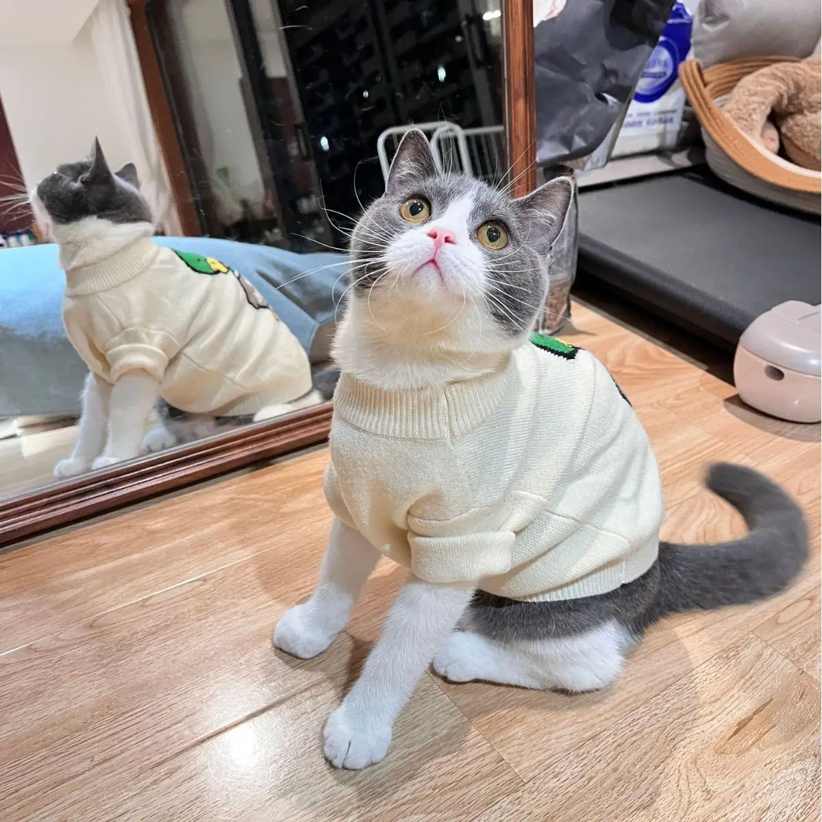 Pet Clothes Autumn and Winter Cat Dog New Sweater Anti-lint Spring and  Autumn Cute Cartoon - AliExpress