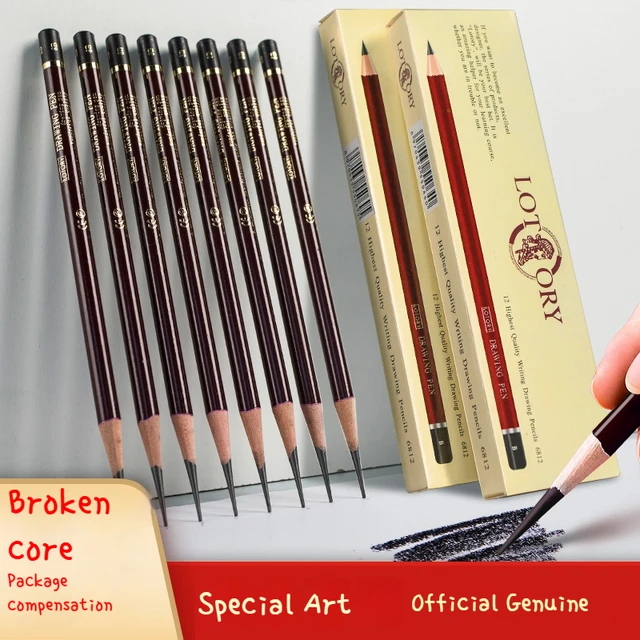 Professional Drawing Sketching Pencil Set 12 Pcs Art Pencils Drawing Graphite Shading Pencil Set for Beginners & Pro Artists 1