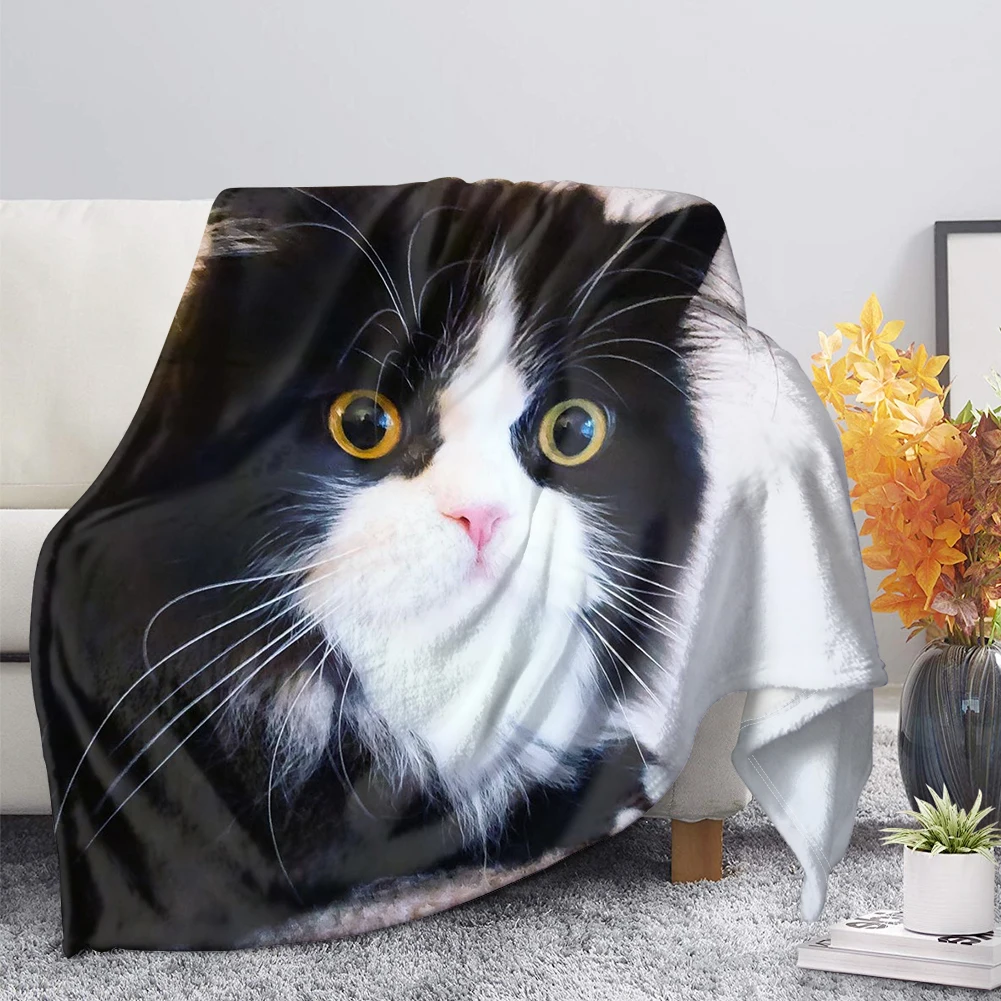 ������ ȭ��Ʈ ���� �÷� �ö��� ���� ��� ħ�� ���� ���� Ǯ ������ ���, ������� ������ ���� ����Ʈ ŷ ��