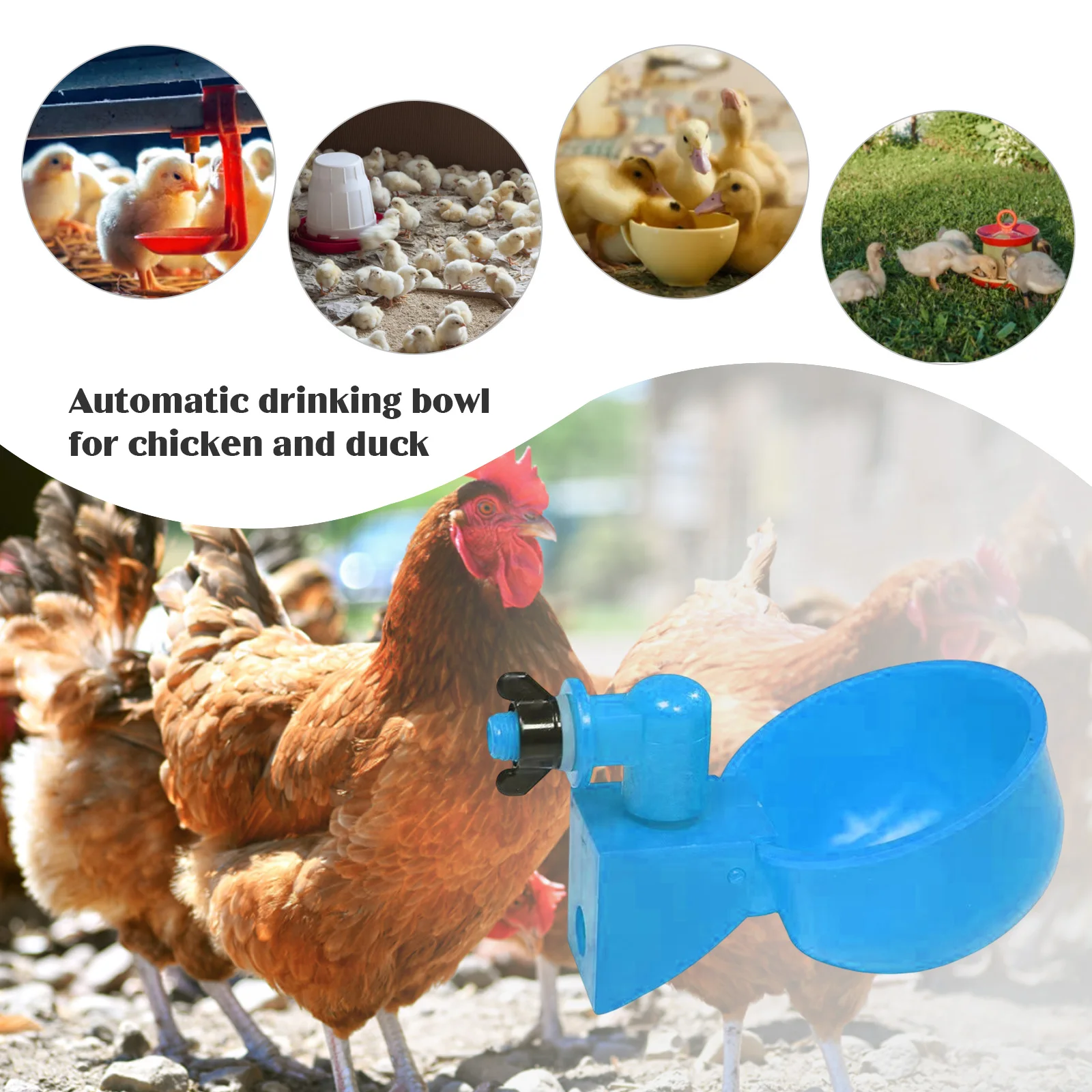 Chicken Duck Drinking Cup poultry drinking cups poultry water dispenser poultry feeder poultry waterer 6-60pcs Automatic Drinker Plastic Poultry Farm Water