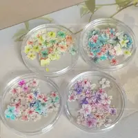 50pcs/Box Janpanese Style Manicure Flower Accessories Monet Floret INS Oil Painting Dried Flower Color Mix Petals Nail Art Decor 2