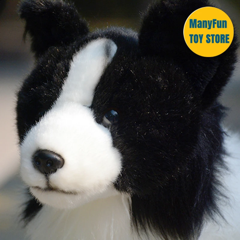 Border Collie High Fidelity Cute Plushie Shepherd Dog Plush Toys Lifelike  Animals Simulation Stuffed Doll Kawai Toy Gifts Kids - AliExpress