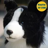 Border Collie Plush Toy High Fidelity Plushie Shepherd Dog Peluche Lifelike Stuffed Animals Simulation Doll Kawai Toy Gifts Kid 3