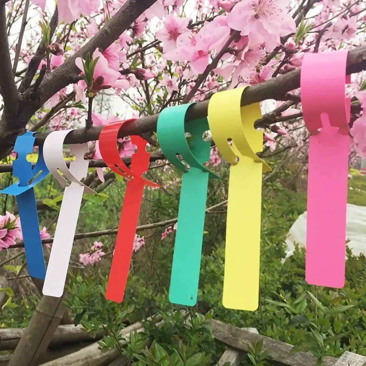 100PCS Adjustable flower and plant label seedlings