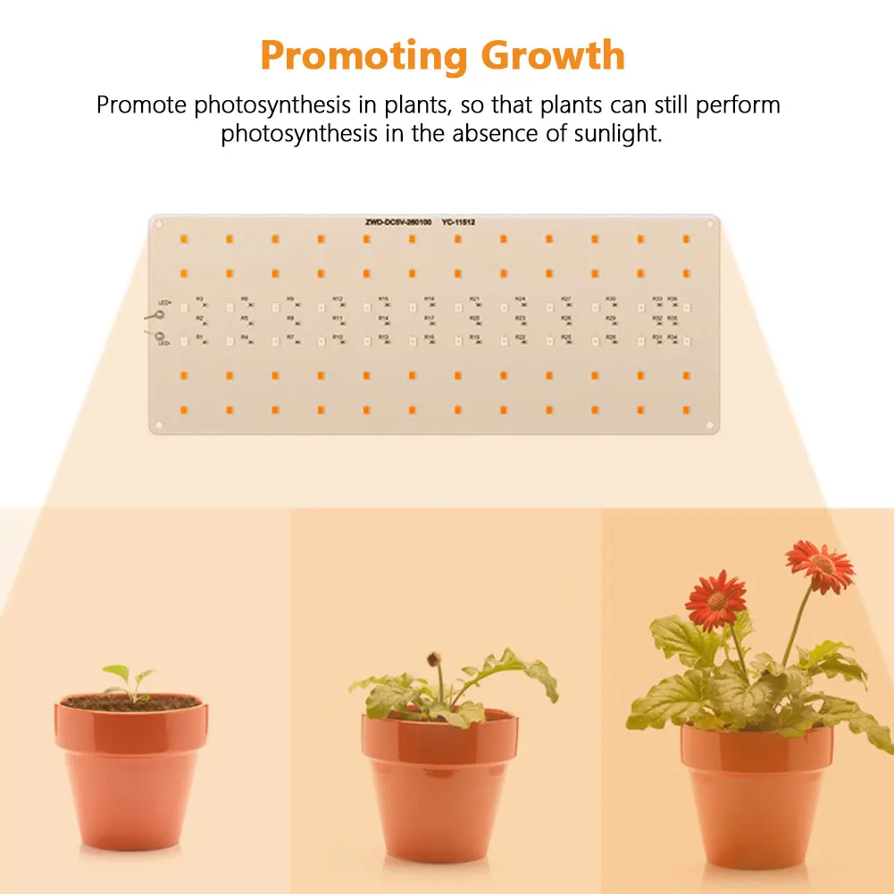 S0caceca2839544ab912d8abb07f298bcX