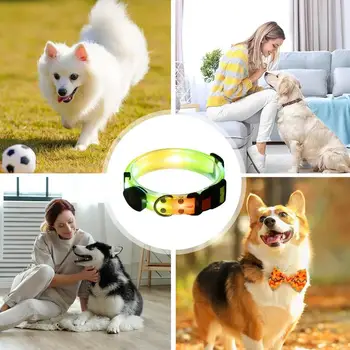 Glowing Dog Collar And Rope Rechargeable Led Dog Collar With Lighted Puppy Collar Lights USB Rechargeable Waterproof High 3