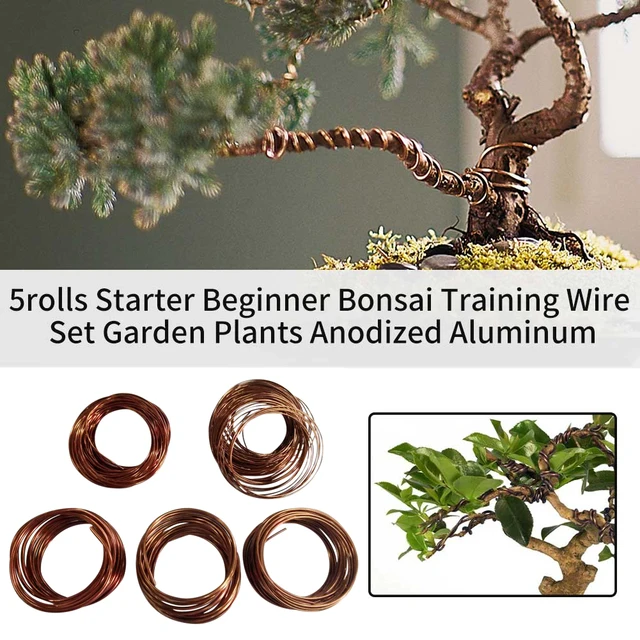 5Rolls Bonsai Edzéshuzal -Készlet Eloxált Alumínium Kezdő Művészek Növények Kerti Könnyű Hajlítás 147 Láb Teljes Barkácsolás Kézműves - Image 3