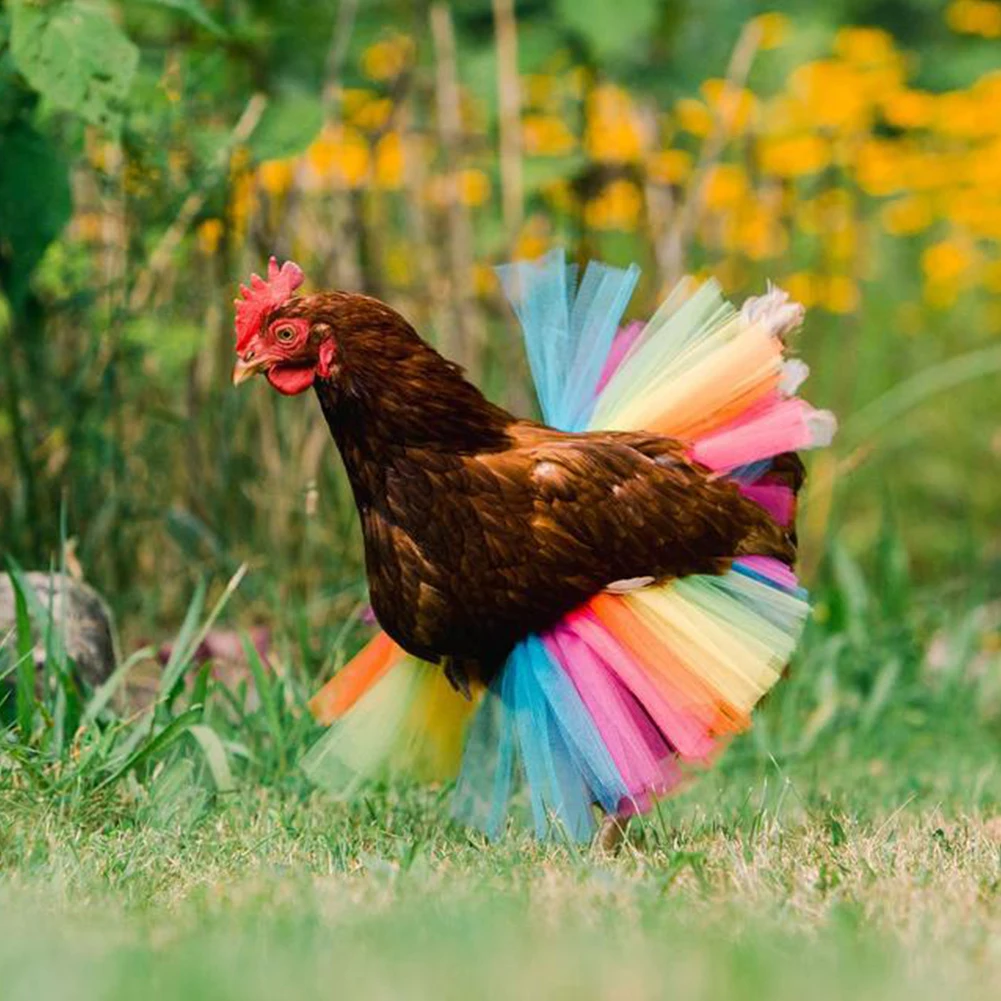 Chicken Costume Skirt Tutu Coop Hen 