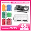 ZHIYUN Official CINEPEER CM25 25W Led Light Handheld Pocket Video Light Bi Color Photo Fill Light Photography Lighting 1