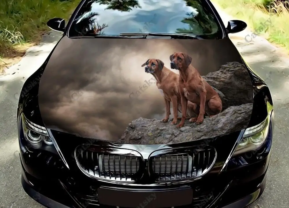 

Rhodesian Ridgeback Car Hood Vinyl Decal Stickers Wrap Vinyl Film Engine Cover Decals Sticker Universal Car Hood Cover Film
