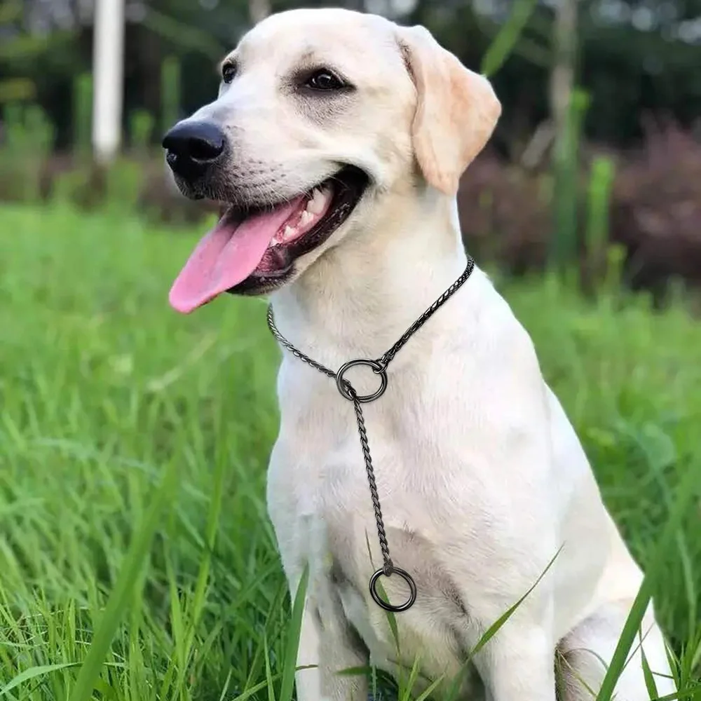 Dog Collar Pet Collar Pet Necklace Snake Chain Rustproof Stainless Steel