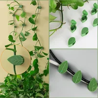 10/30/50Pcs Plant Climbing Wall Fixture Clips Rattan Vine Fixer 1