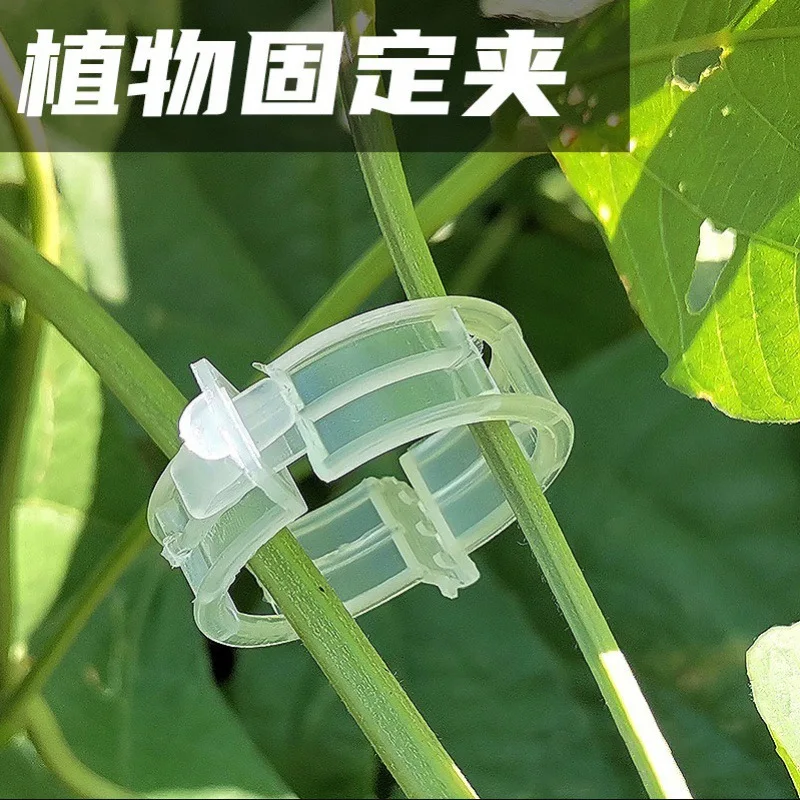 

1000Pc Plant Climbing Wall Clips Support Buckle Hook Rattan Clamp Grafting Fixing Stent Invisible Vine Fixed Bracket Tomato