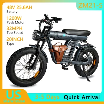 20" Long Range E-Bike 1