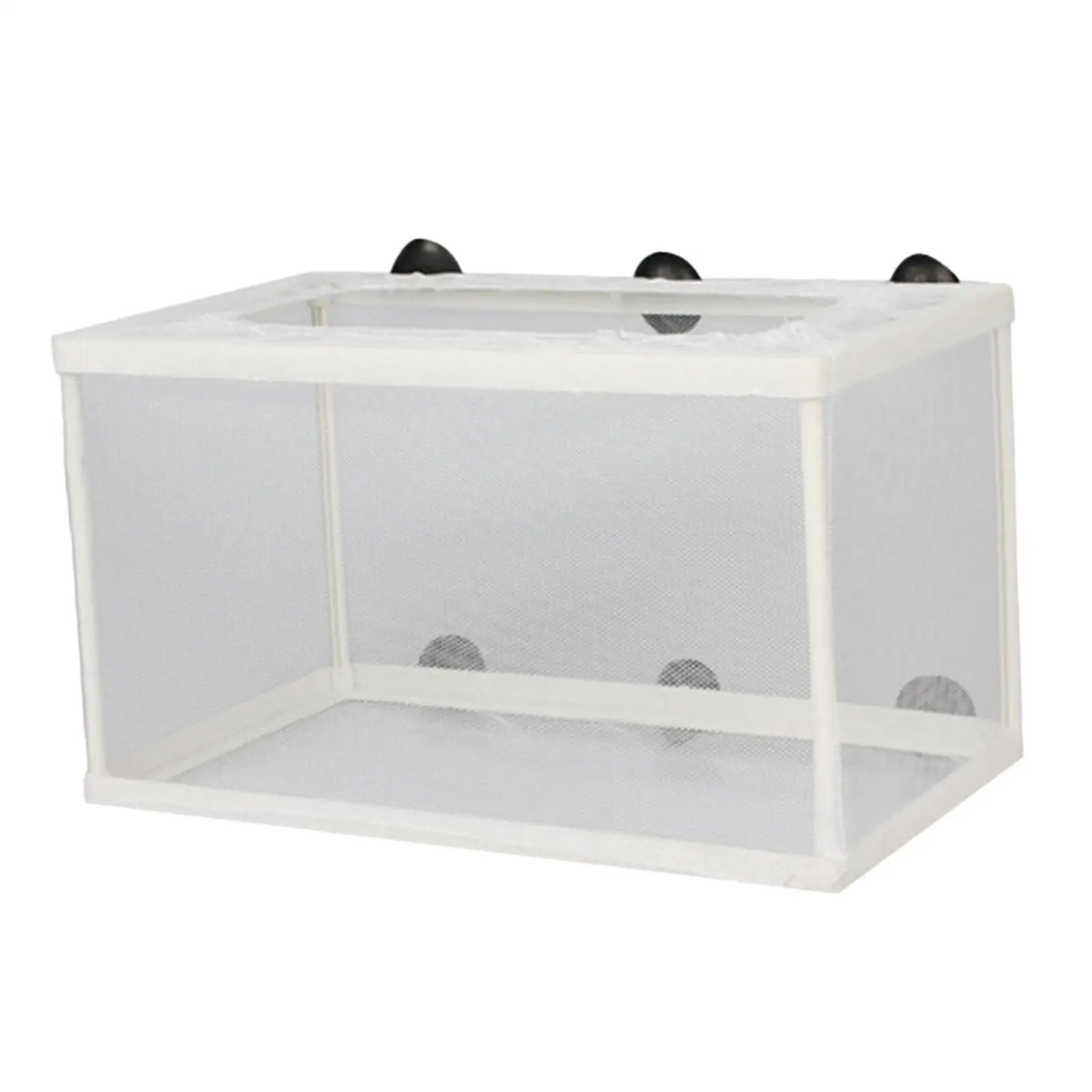 Fish Breeder Box Separation Hatchery Juvenile Spawning Incubator with Suction Cups Aquarium Breeding Isolation Net for Clownfish