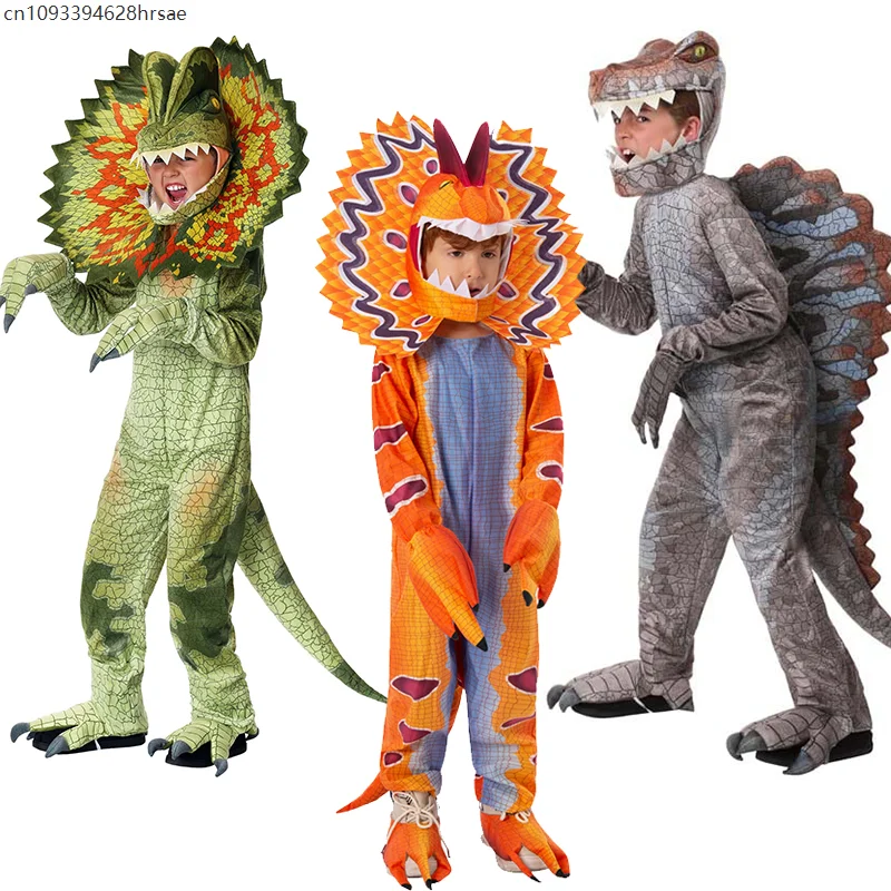 Boys Dinosaur Costume Set 1