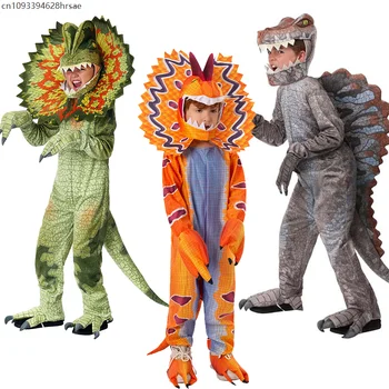 Boys Dinosaur Costume Set 1