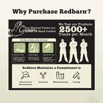 All-Natural Bully Stick Rings for Dogs - Long Lasting Rawhide Chew Treat - Case of 35 4