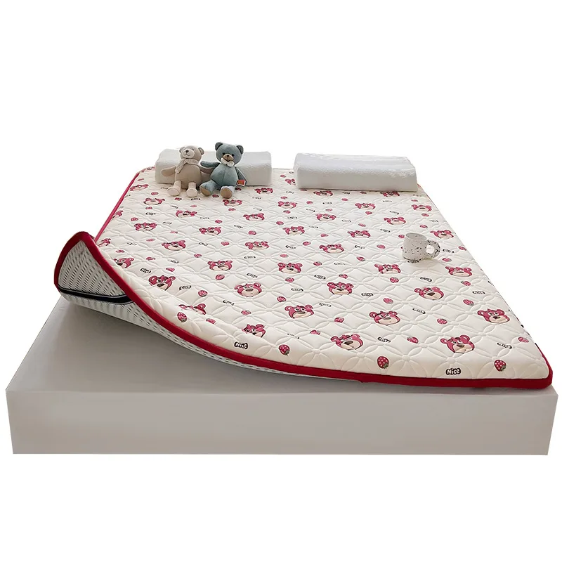 

Dropshipping Customizable Size Mattress Soft Mattress Home Tatami Mat Was The Floor Mat Student ZHA12-43599