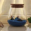 Cork Glass Bottle Plant Small Mason Jars Round Terrarium with Lid Basket Clear Succulent Pot Display Suite Decorate 5