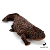 Chinese Giant Salamander High Fidelity Anime Cute Plushie Axolotl Plush Toys Lifelike Animals Simulation Stuffed Doll Kawai Toy 1