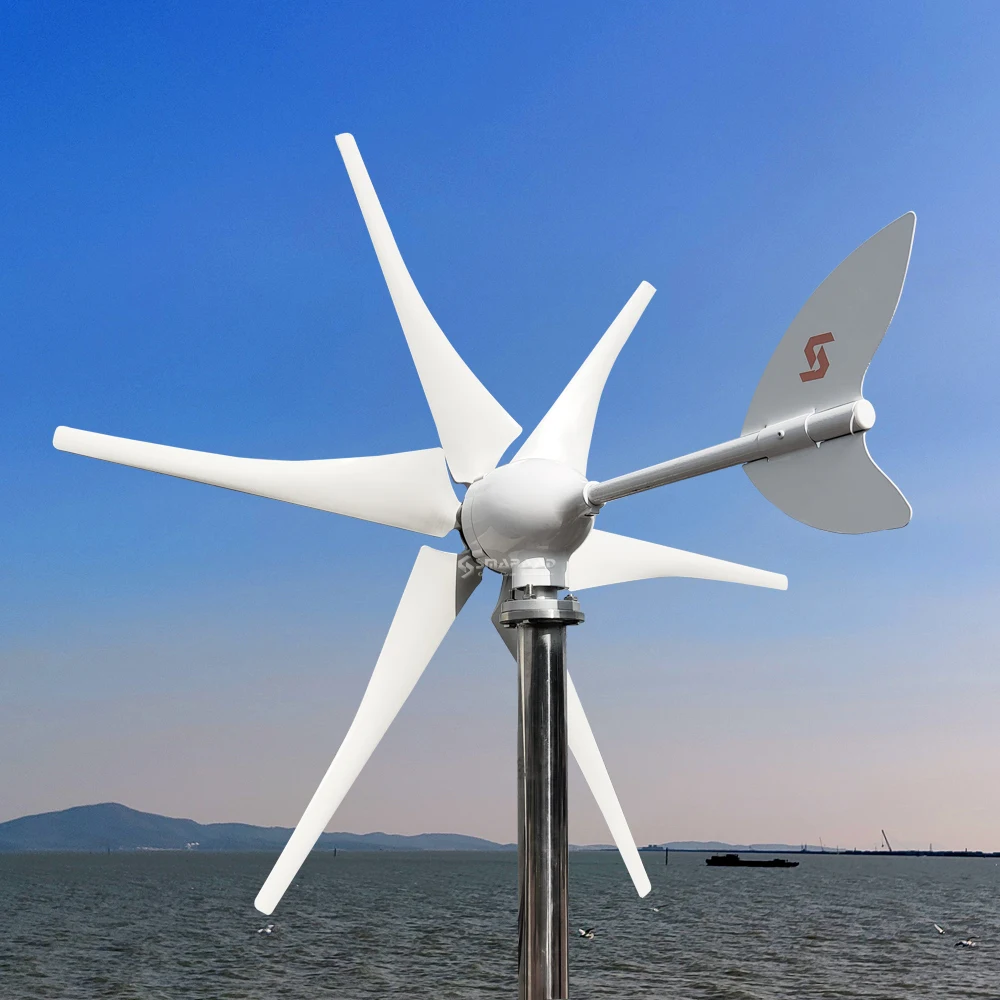 Didito China Factory Price Wind Turbine 1000W 12V 24V 48V Horizontal 6 Blades Windmill Generator For Home Use