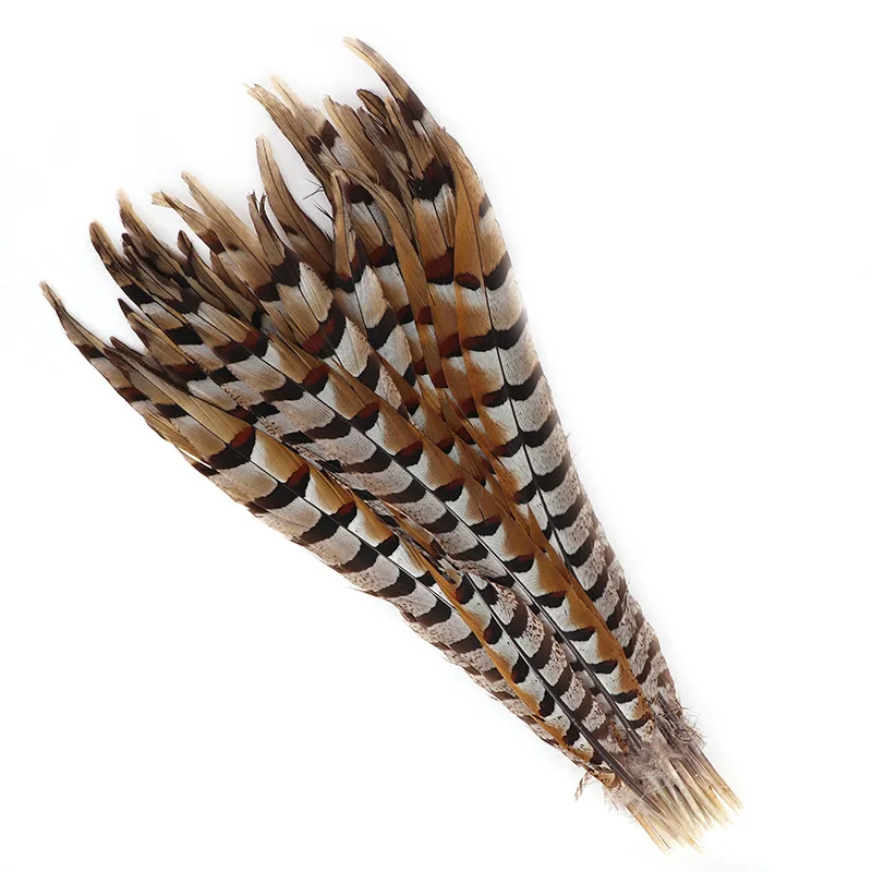 

100PCS 45-50 CM Natural Lady Amherst Pheasant Feathers for Crafts Reeves Venery Feather Carnival Plumes Decoration Performance