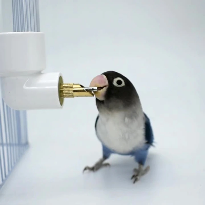 Biberon Appeso Per Animali Con Capezzolo Acciaio - Senza Gocciolamento Per Pappagalli E Piccoli Animali - Foto 9