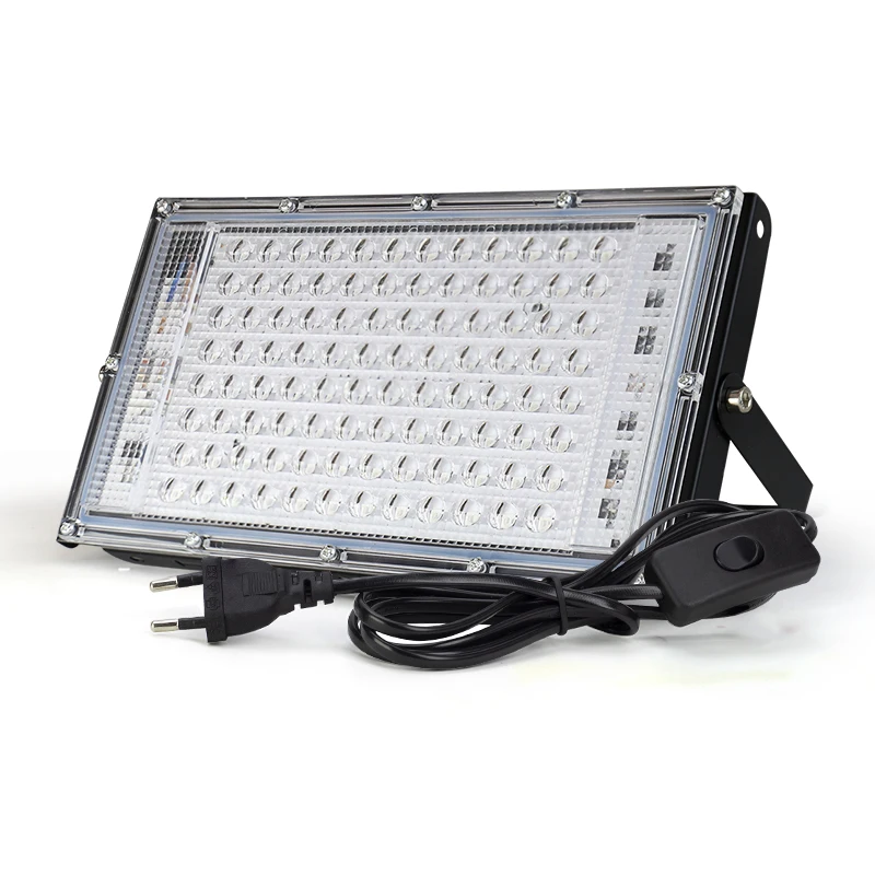 100W EU plug