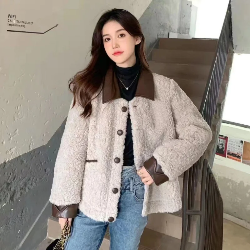 

High end Korean Women Fur Coat 2023 Autumn Winter New Elegance Thickened Imitation Lamb Plush Top Splicing Women Leather Jacket