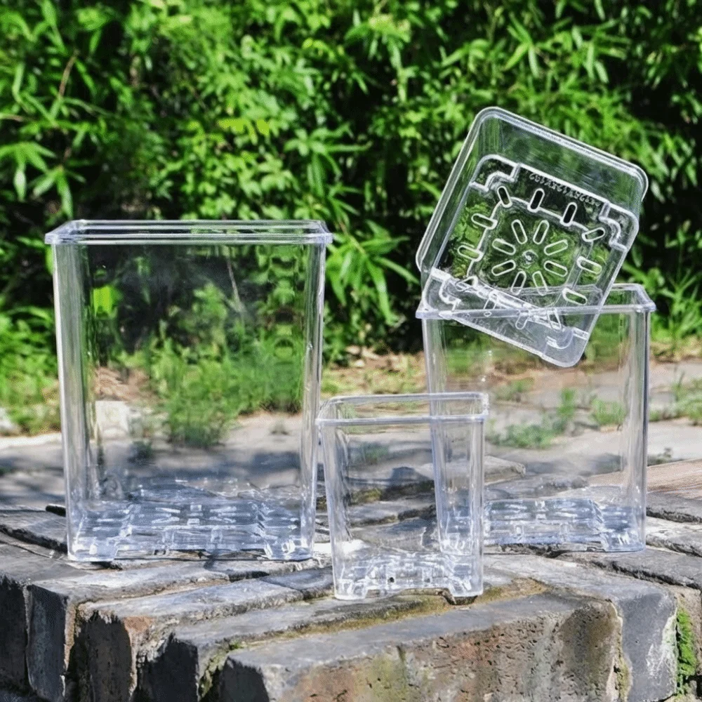 Clear Acrylic Square Planter with Drainage and Breathable Design