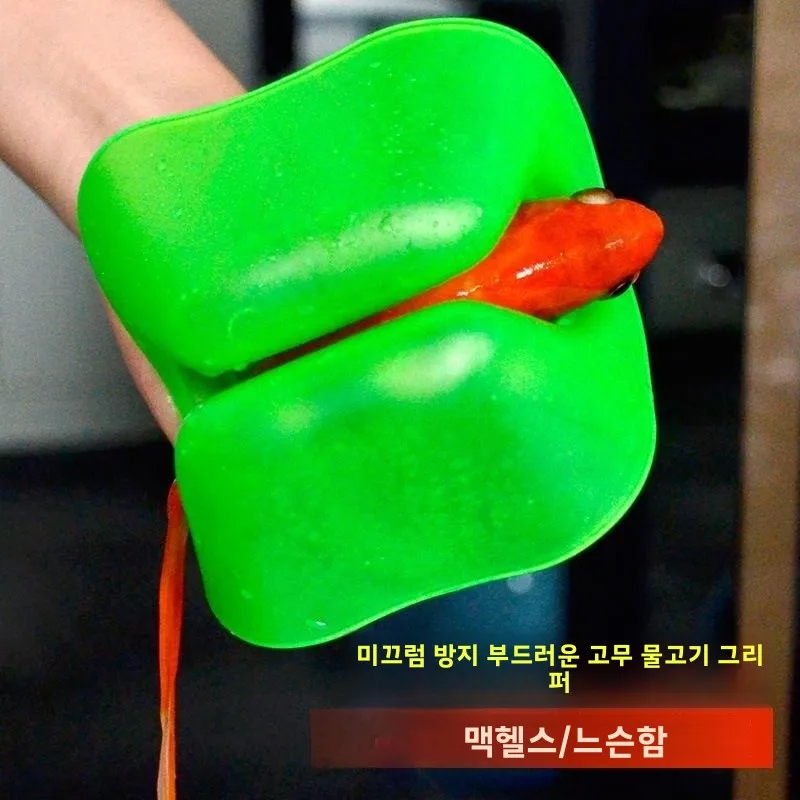 β Ǹ  尩 ̲       尩   ߿ ķ  ǰ