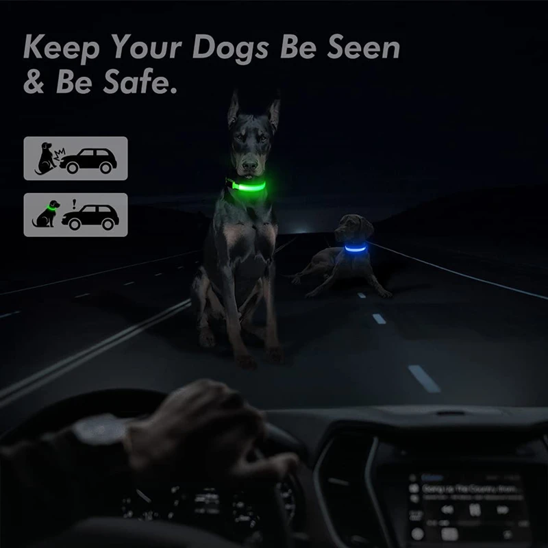 LED Glowing Dog Collar Adjustable Flashing Rechargea Luminous Collar Night Anti-Lost Dog Light HarnessFor Small Dog Pet Products