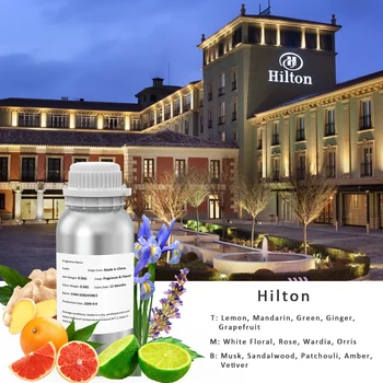 Aromatherapy Diffuser Oi 1