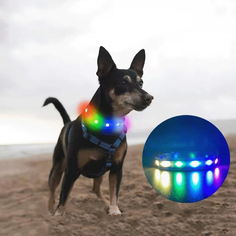 

Светодиодный собачий ошейник, шатер, новая зарядка через USB, 6 цветов, симфоническая вспышка, светодиодный светильник, ошейник для домашних животных, водонепроницаемый собачий ошейник, ожерелье для собак