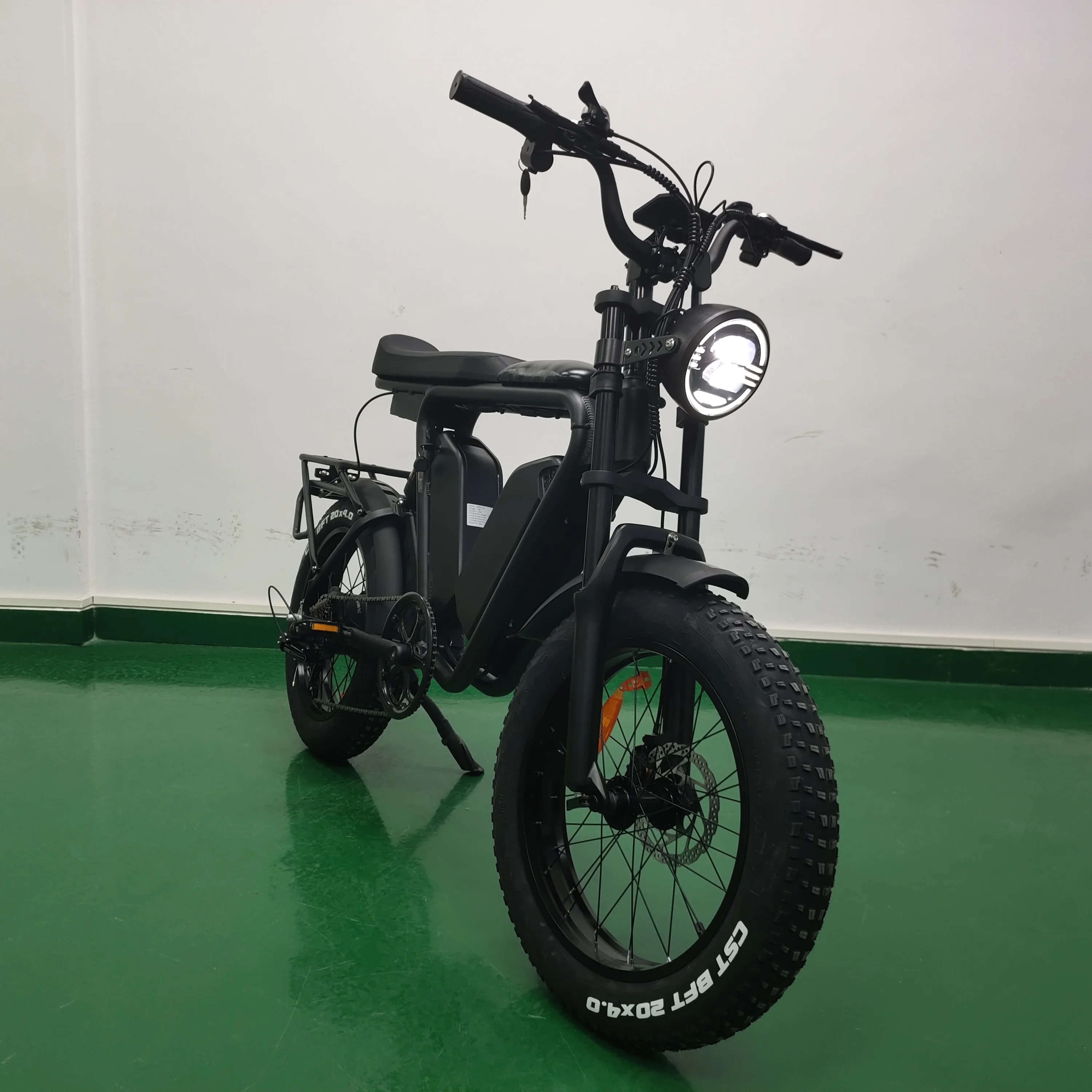 Long Range Electric EBike 22ah*2 Dual Batteries E Bike 1000w 48v Fat Tire Bicycle