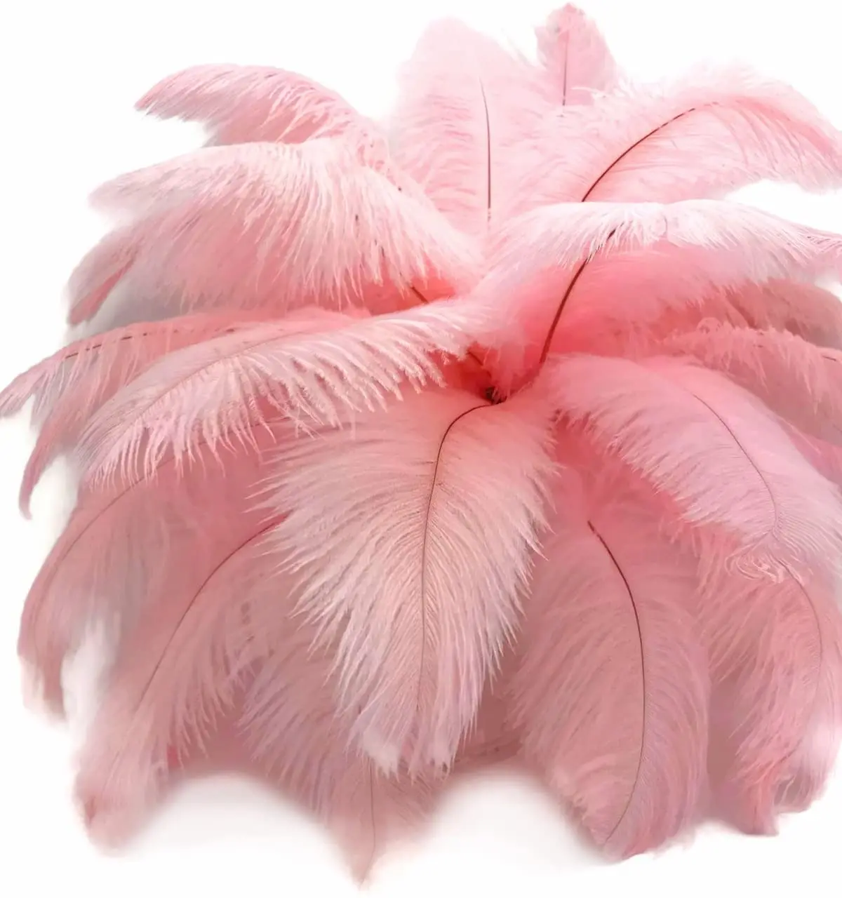 10Pcs Natural Hot Pink Ostrich Feathers 15-75cm Wedding Party