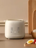 Small Egg Cooker 1pc Automatic Home Use Multifunctional Loose Egg Spa Egg Breakfast Yogurt Maker 2