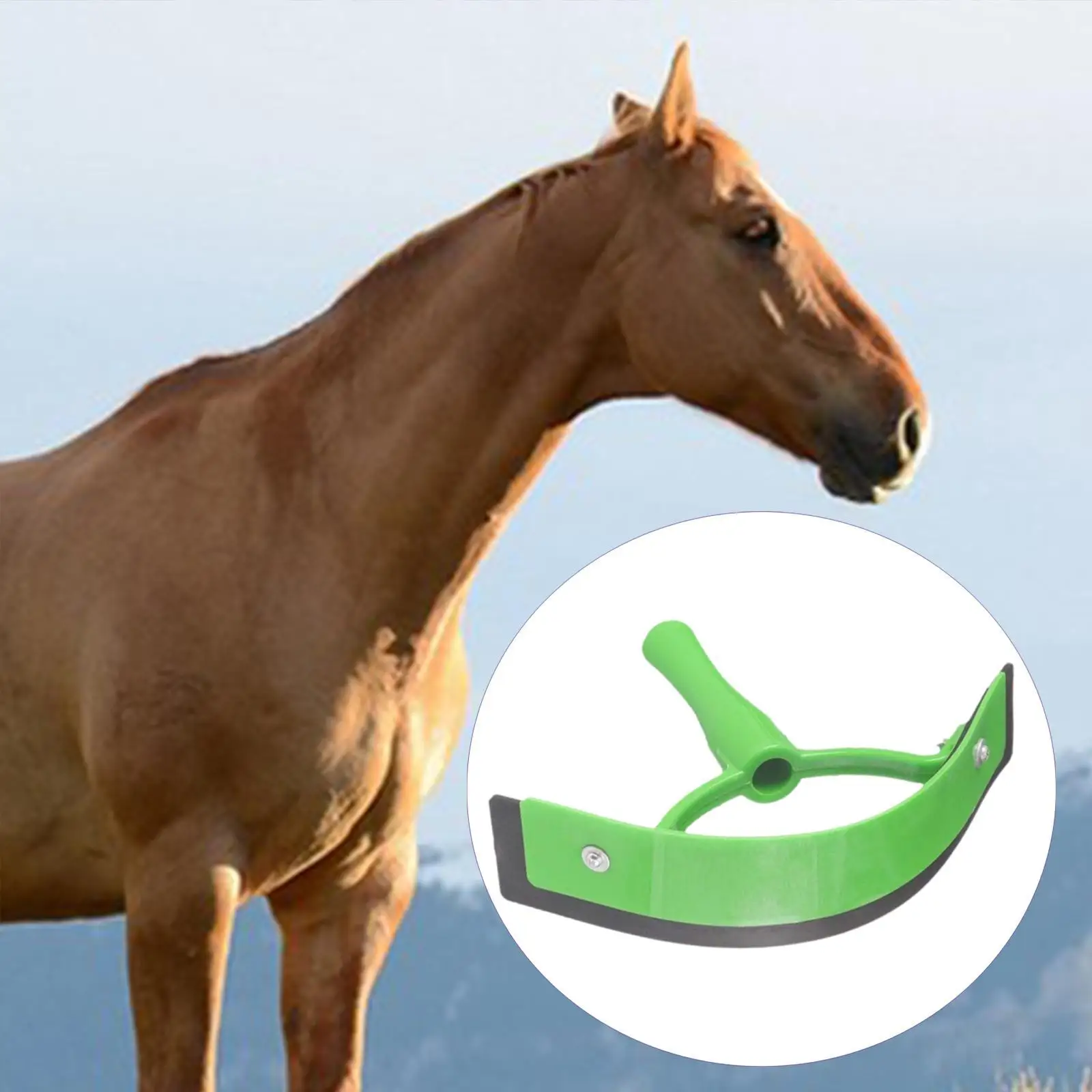 Portable Horse Sweat Scraper Grooming Shaving Cleaning Horse Mane and Tail Brushes with Handle Equine Care Tool Accessories 5