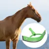 Portable Horse Sweat Scraper Grooming Shaving Cleaning Horse Mane and Tail Brushes with Handle Equine Care Tool Accessories 5