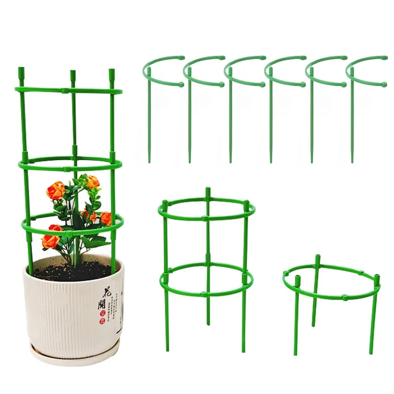 Climbing Plant Support Stakes 2