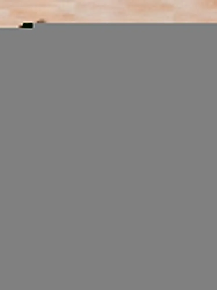 �ʷϻ� ��Ÿ�� ���� �� ������ ���, ǫ���� ķ��, ��������Ų ���Ÿ� ������ ���, ���� ��� ���