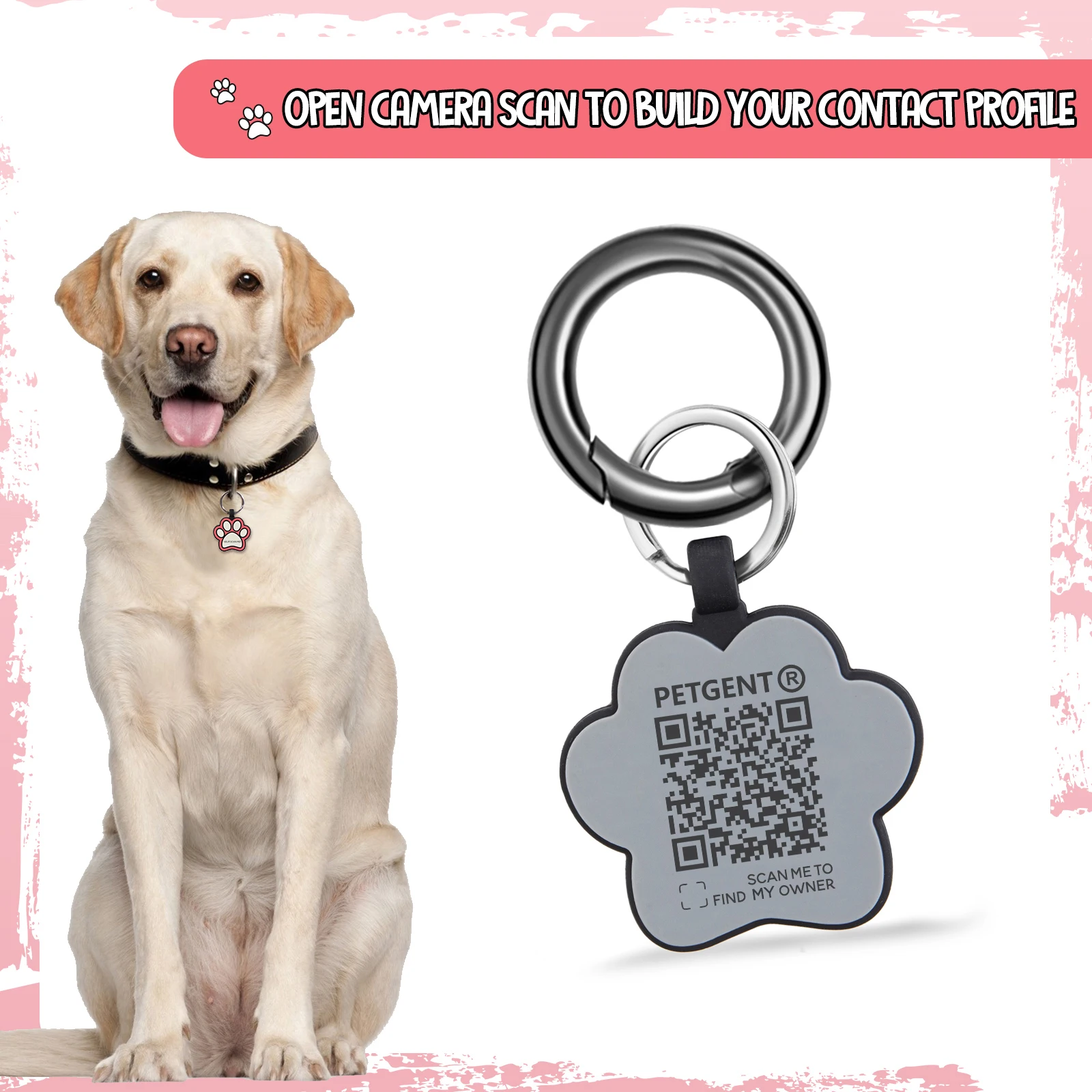 ֿϵ ID ̸ Į ± Ʈ,  QR ڵ,   ±,   , ֿϵ ׼