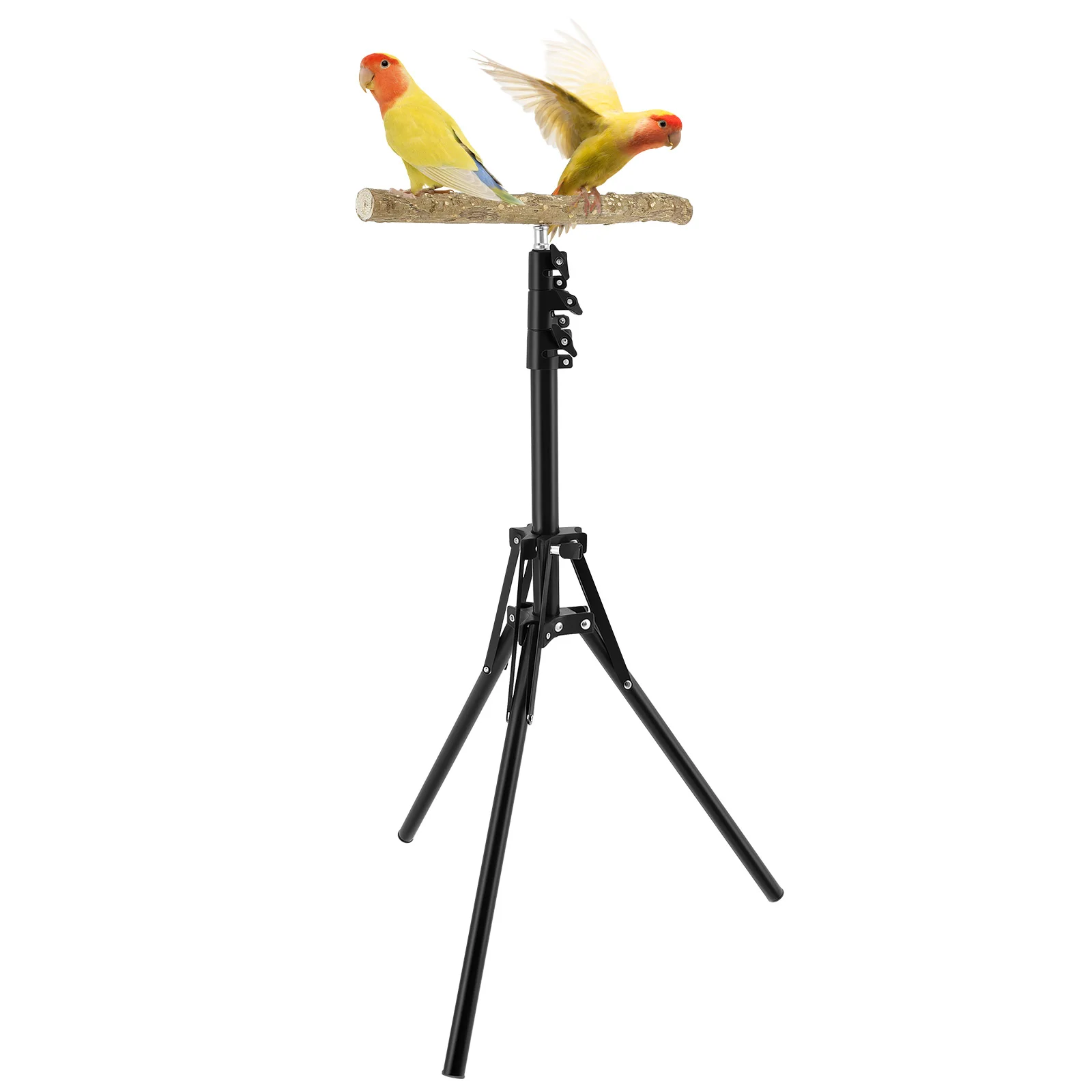 Stand Height Adjustable Bird Perch Toys Indoor Outdoor Versatile Bird Parrot Play Training Station Pole Wood Training Perch bird toy,bird perch stand