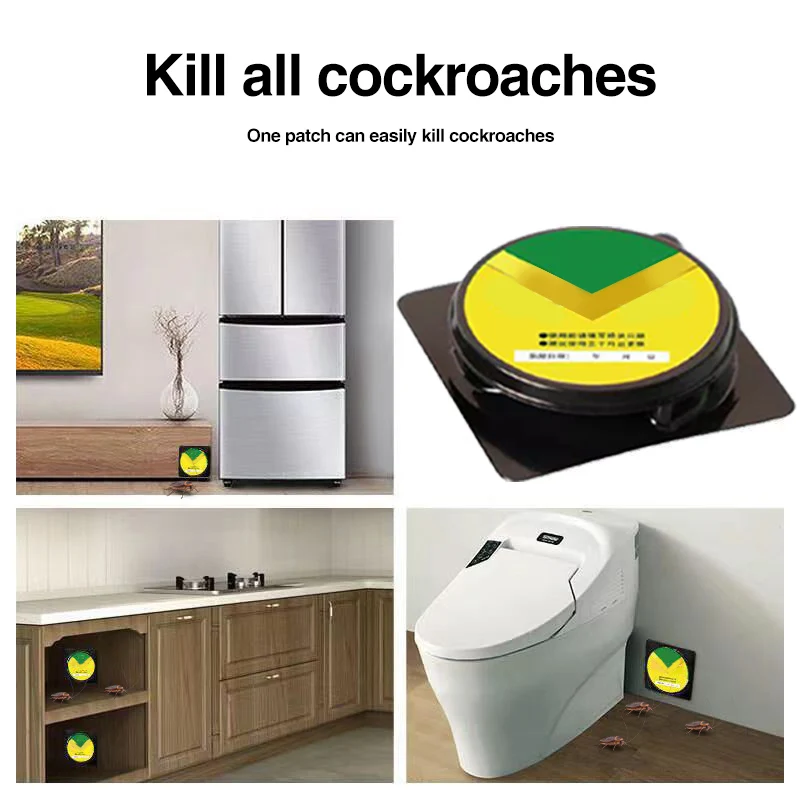 Bait Tool for Eliminating Cockroaches and Fleas