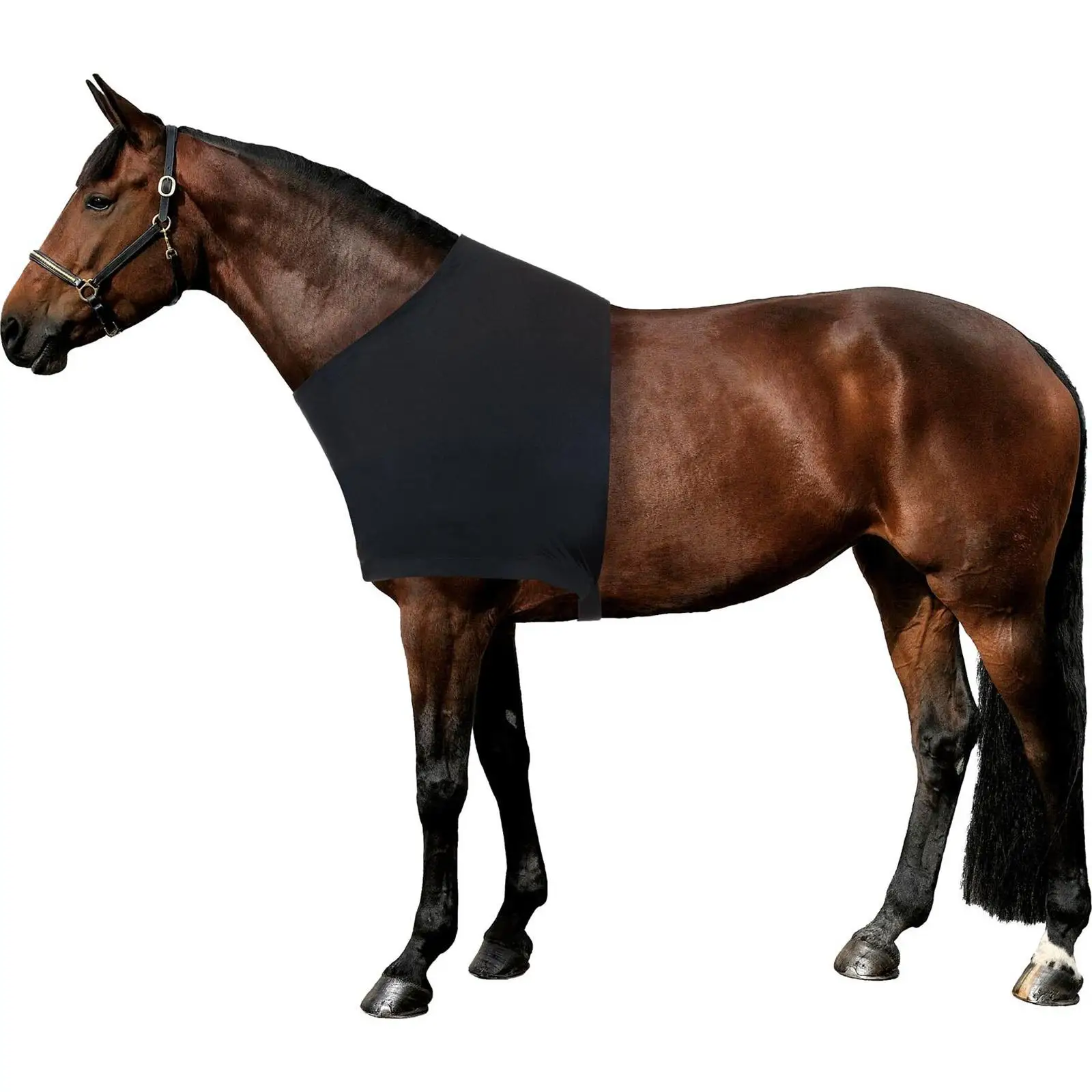 Protège-épaules Et Ventre Pour Cheval - Respirant Et Anti-friction - Taille Unique