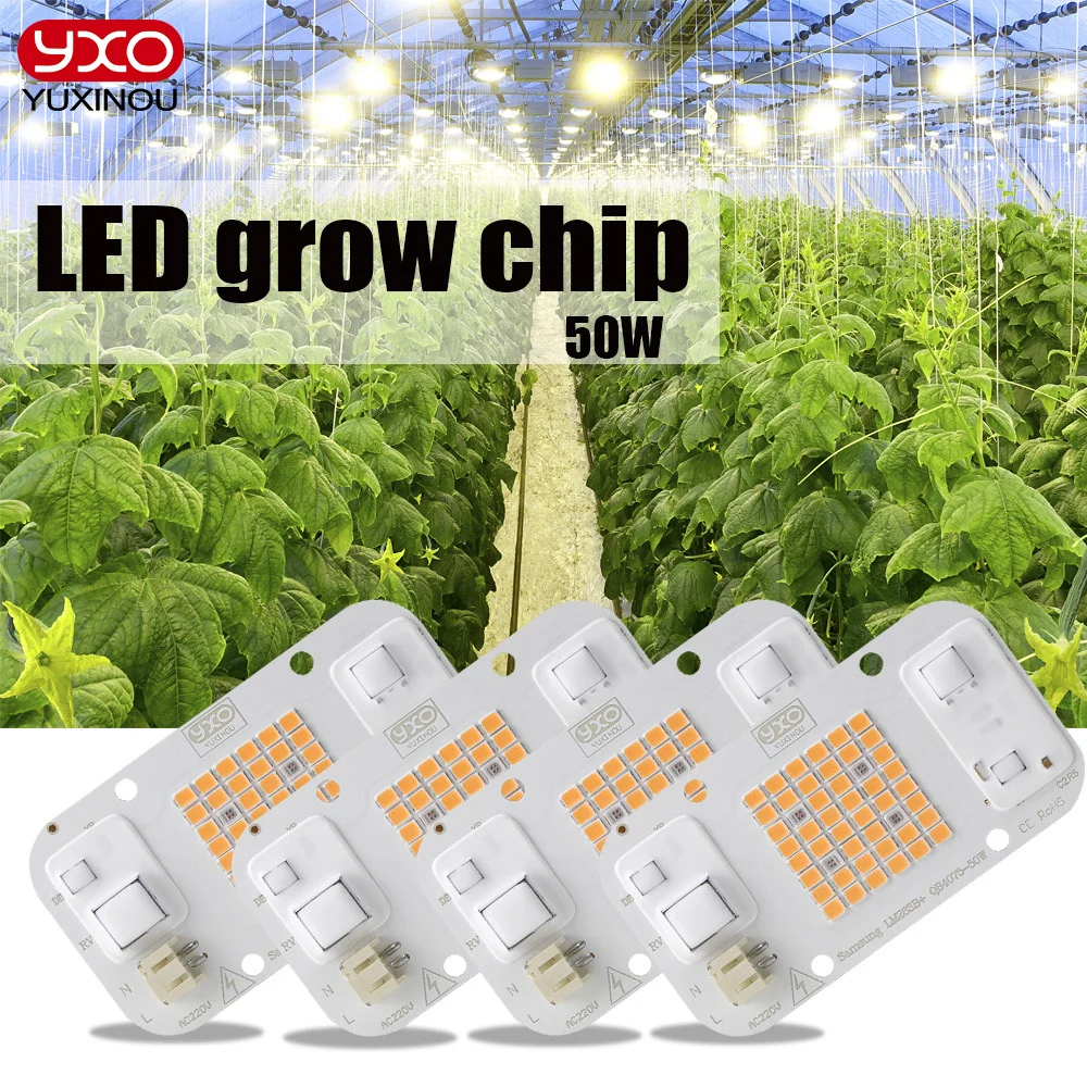 Led Grow Light YXO Hydroponice AC 220V 20w 30w 50w Dob Cob Chip Full Spectrum 380nm-780nm For Indoor Plant Seedling Grow Flower