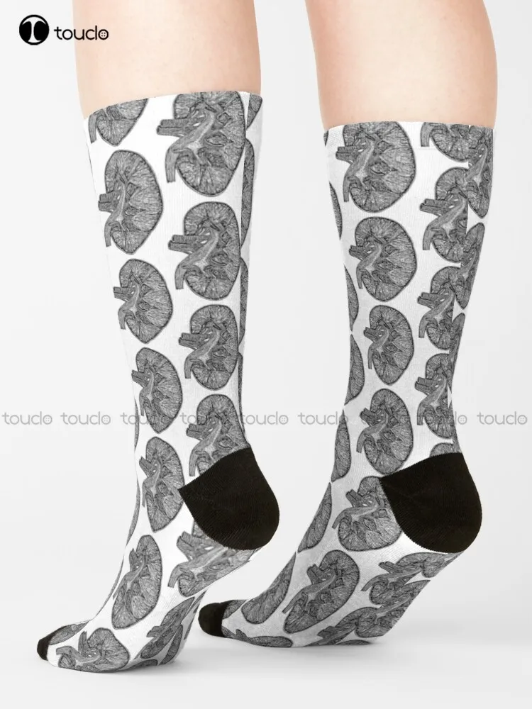 

Vintage Anatomical Kidney Socks Cozy Socks High Quality Cute Elegant Lovely Kawaii Cartoon Sweet Harajuku Cotton Christmas Gift