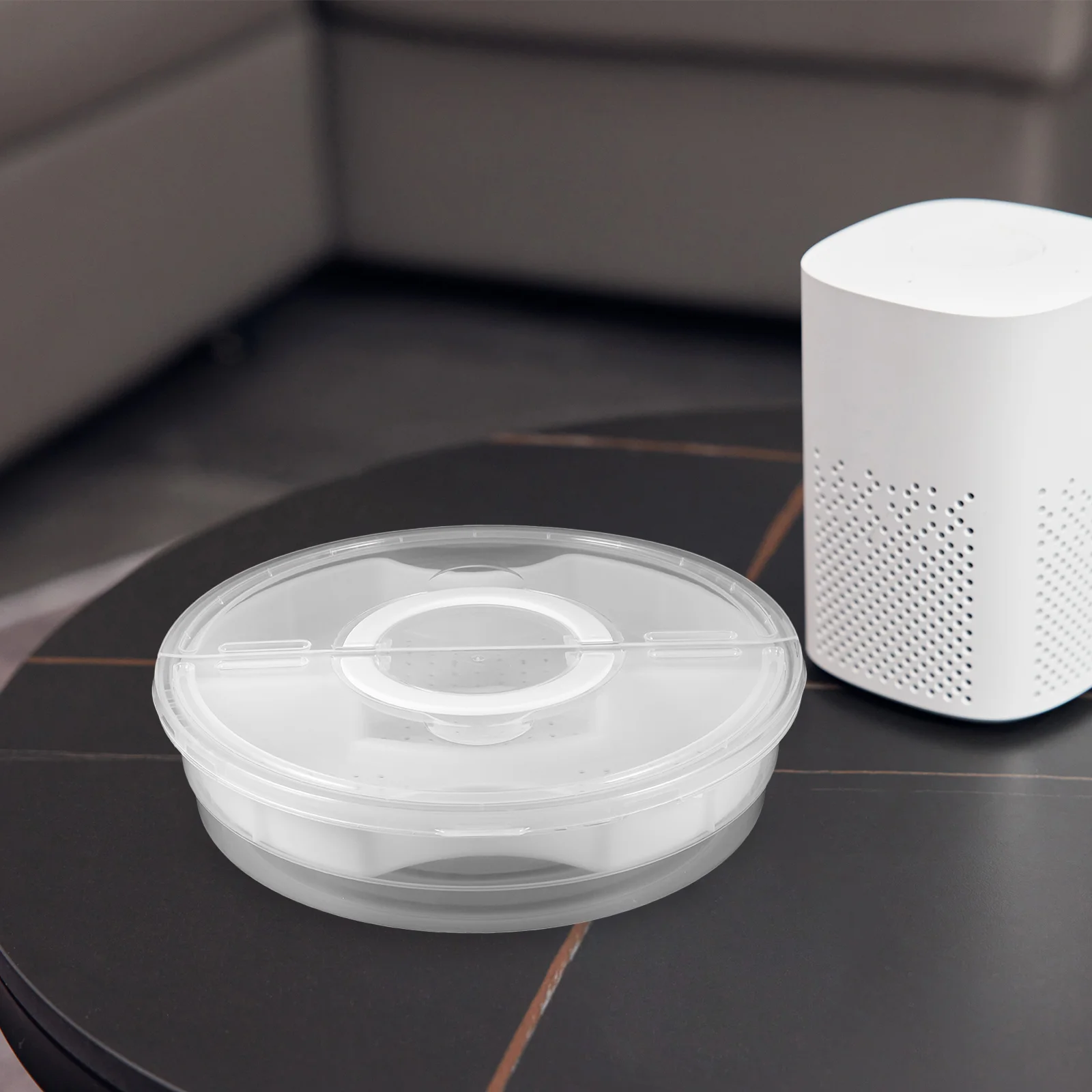 

Pasties Plastic Round Transparent Portable Pie Pizza Slice Food Storage Box Candy Dish with Lid Clear Case Container Carrying