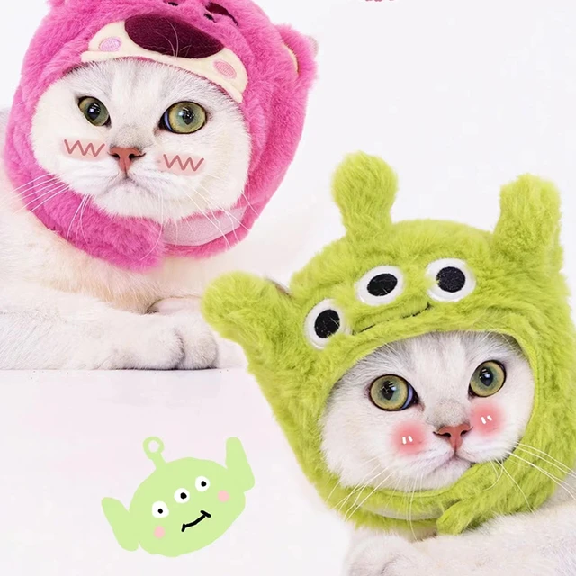 Autunno inverno gatto cappello elastico carino raffinato Pet cappello  cucciolo gattini cappello lavorato a maglia partito servizio fotografico  puntelli decorazione accessori per gatti - AliExpress